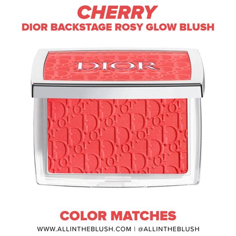 fake dior blush